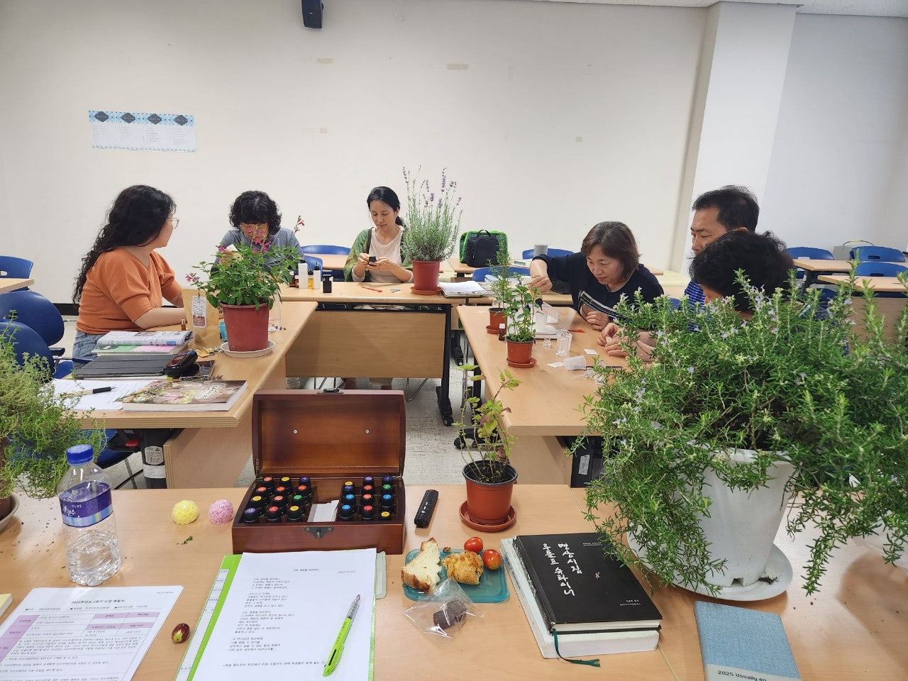 사용자가 올린 이미지