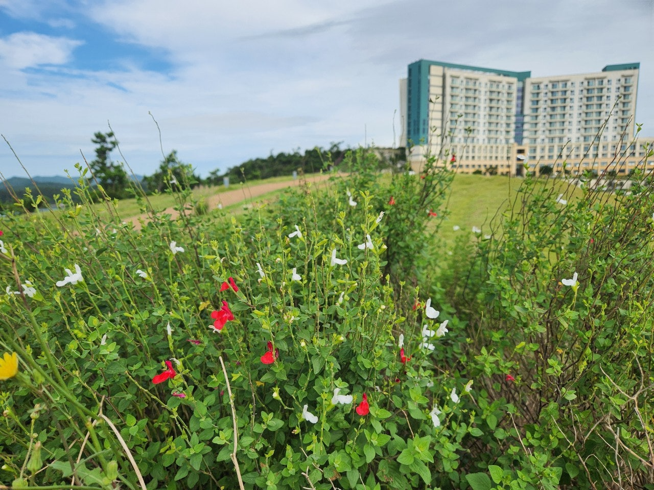 사용자가 올린 이미지
