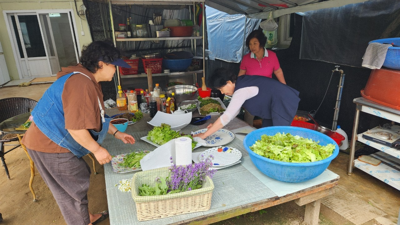 사용자가 올린 이미지