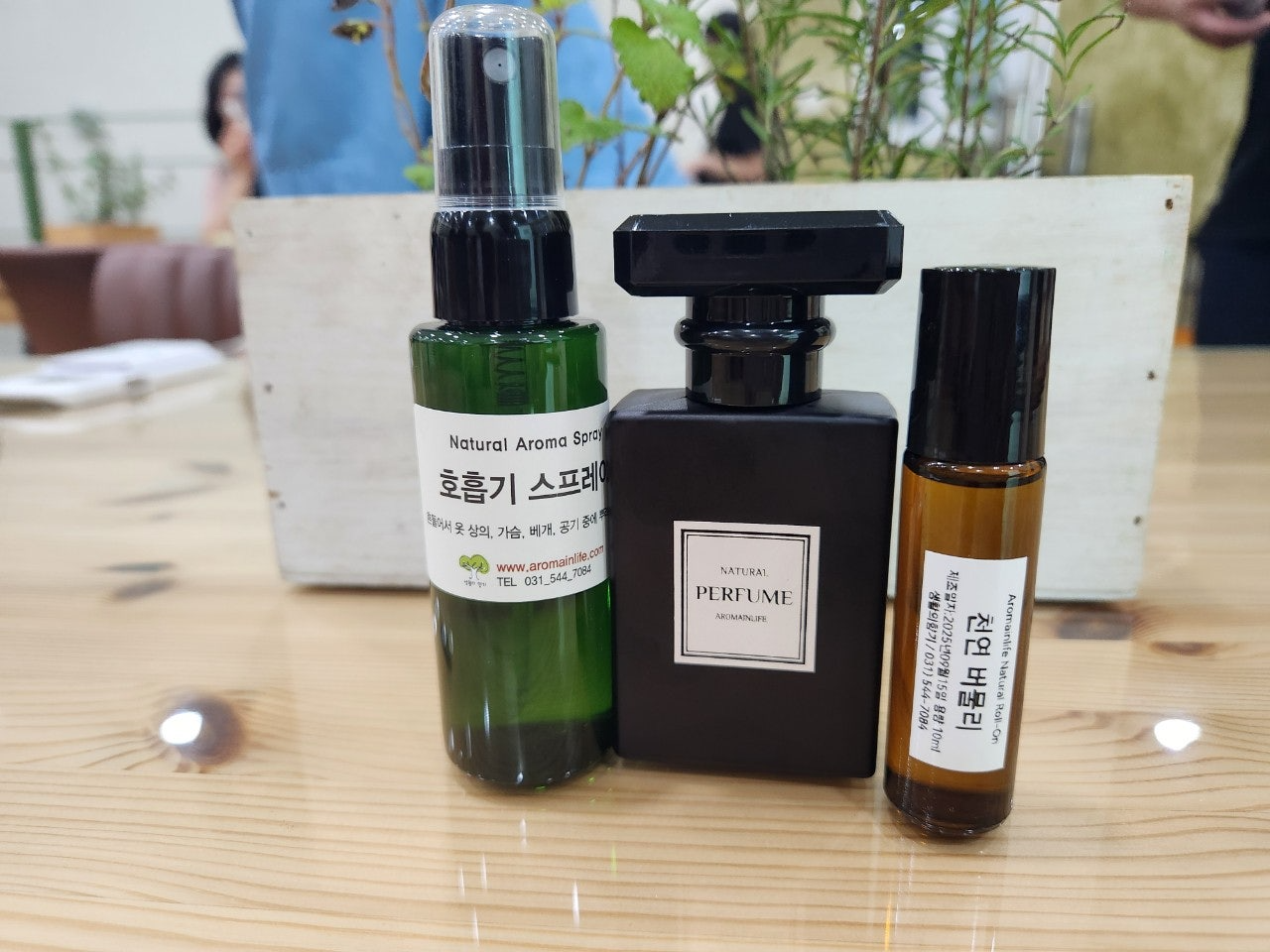 사용자가 올린 이미지