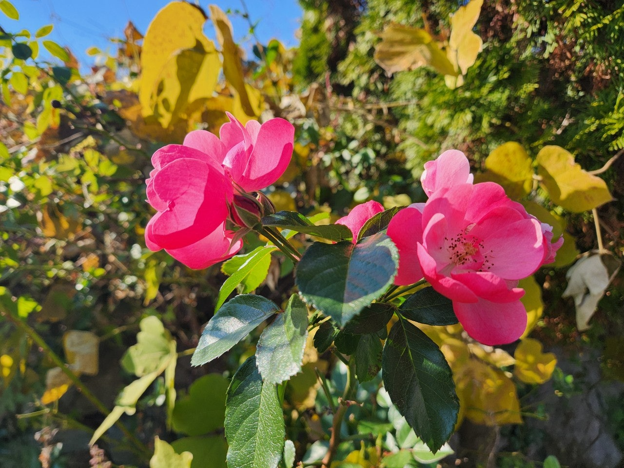 사용자가 올린 이미지