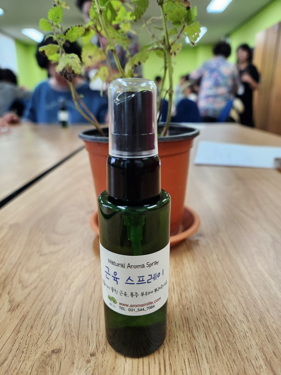 사용자가 올린 이미지