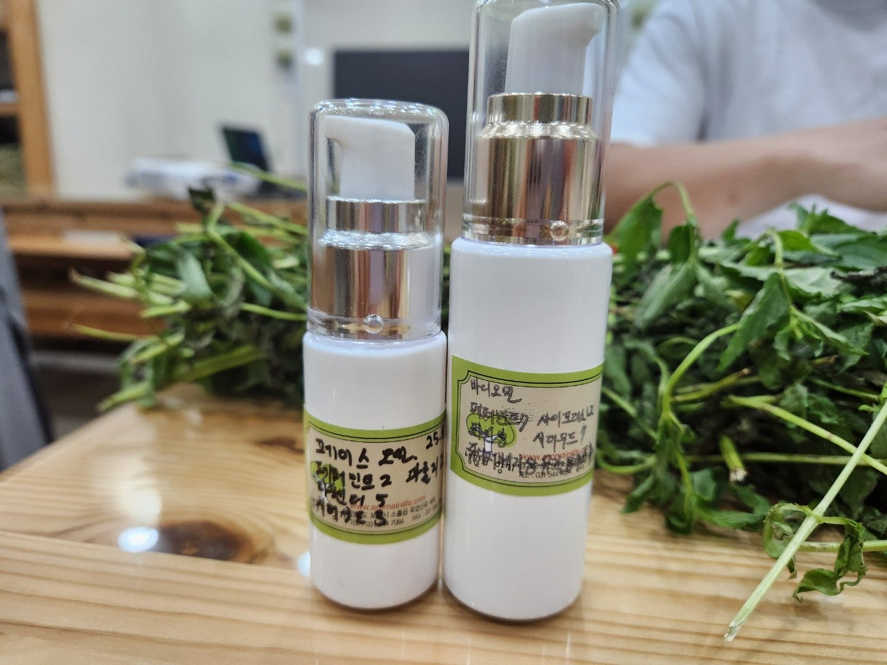 사용자가 올린 이미지