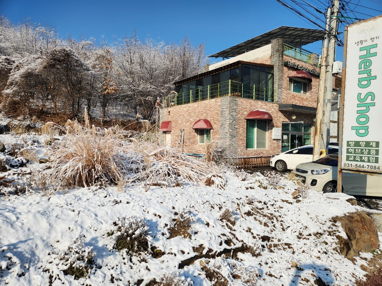 사용자가 올린 이미지