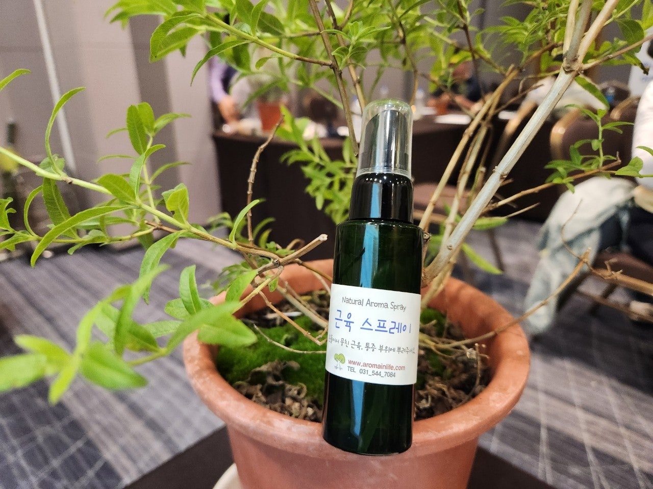 사용자가 올린 이미지