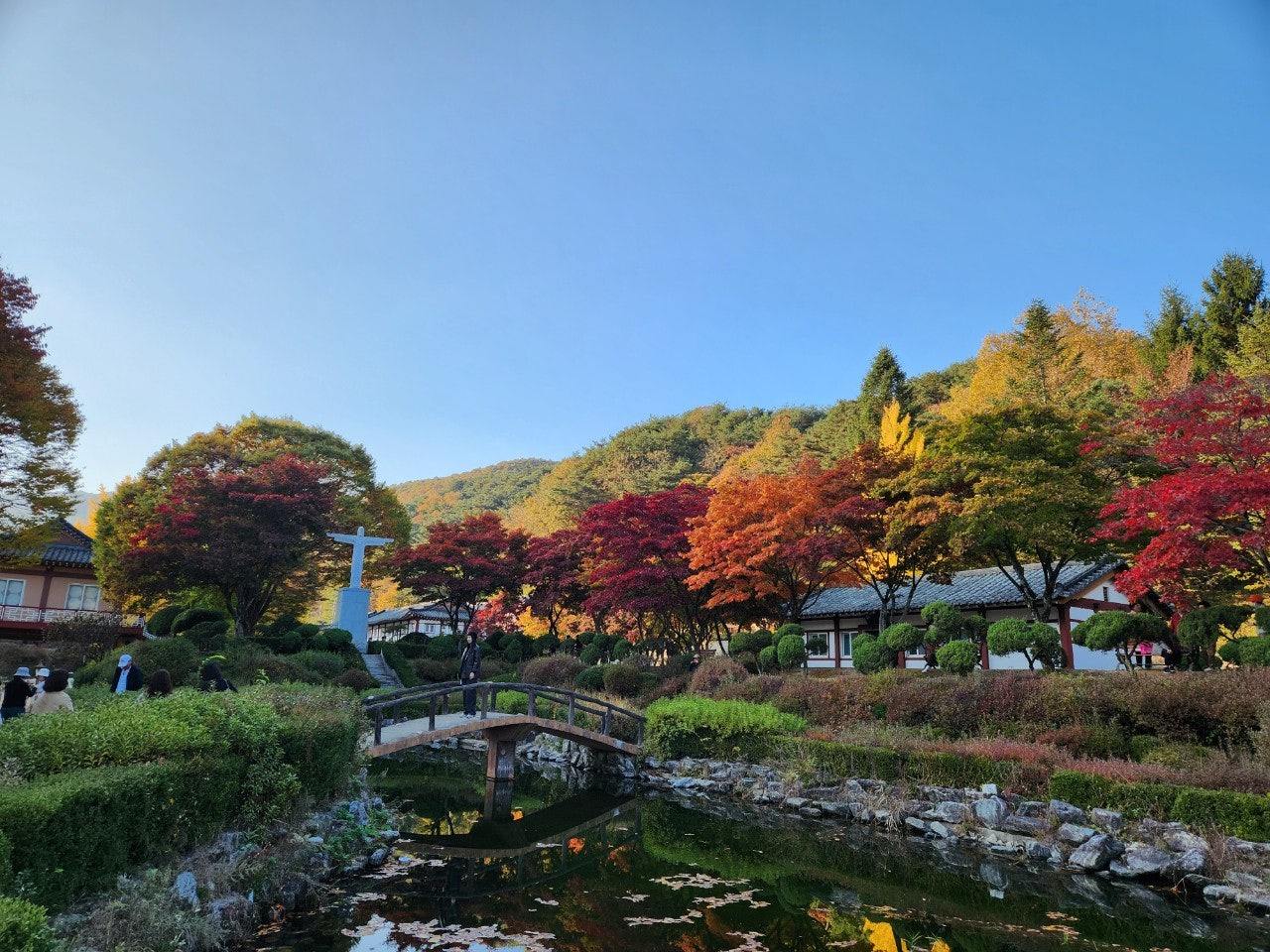 사용자가 올린 이미지