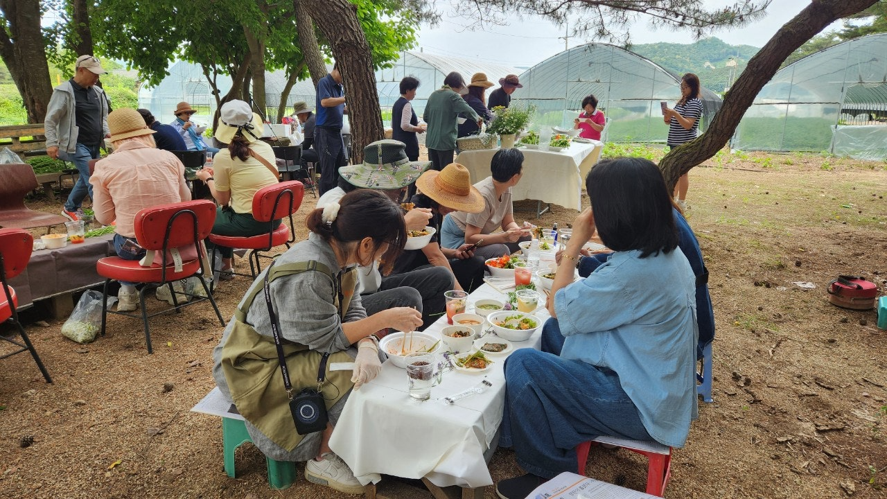 사용자가 올린 이미지