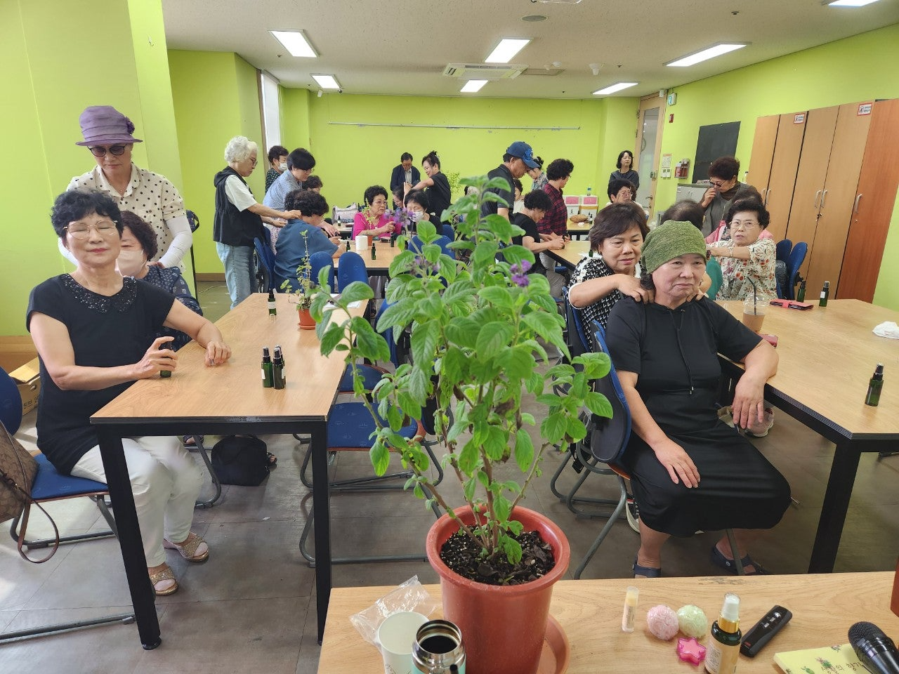 사용자가 올린 이미지