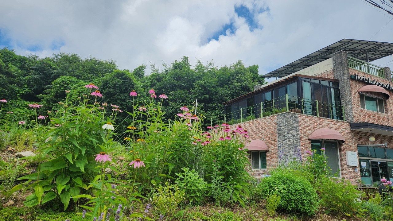 사용자가 올린 이미지