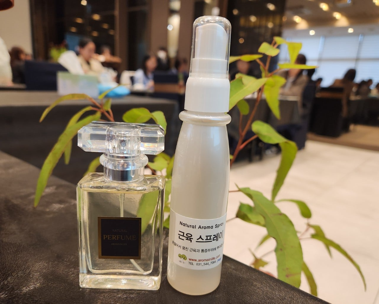 사용자가 올린 이미지