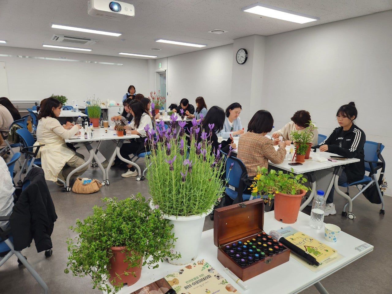 사용자가 올린 이미지