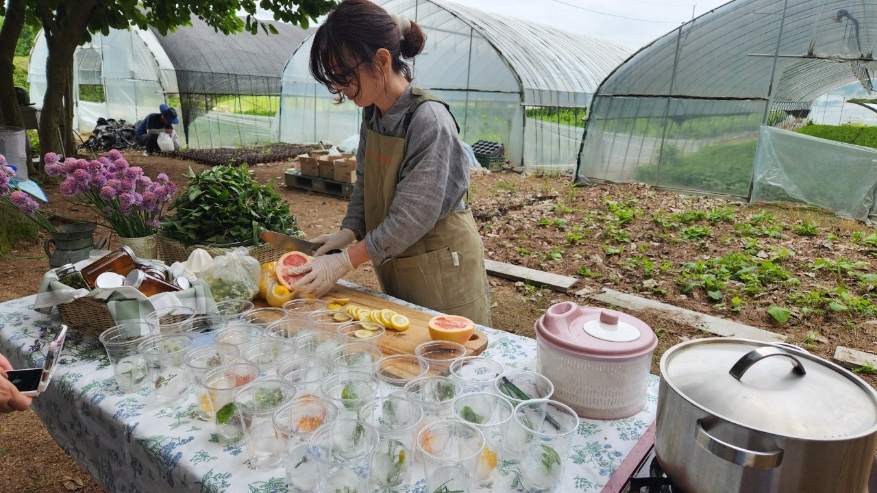 사용자가 올린 이미지