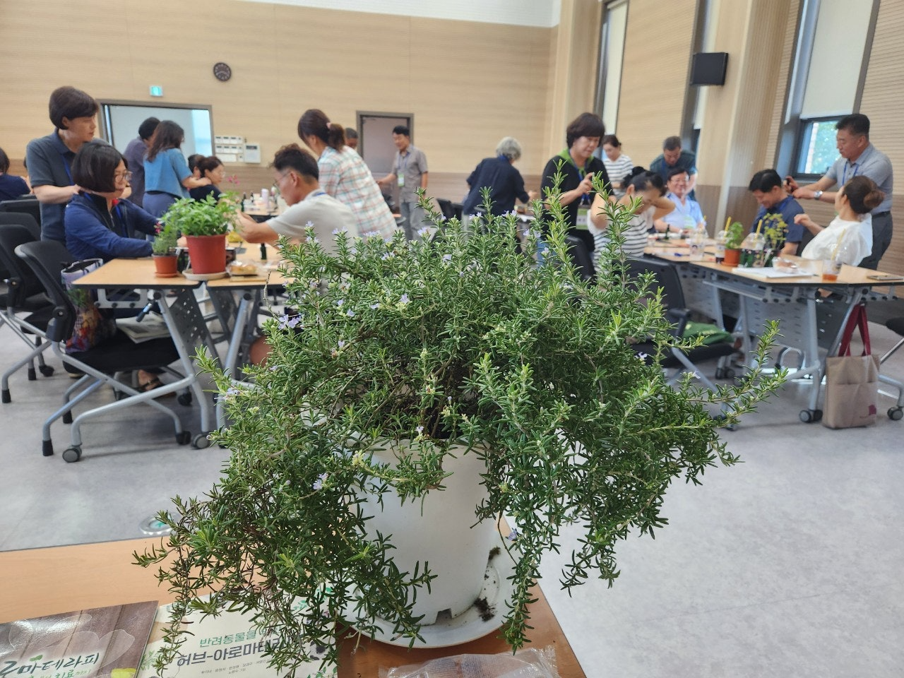 사용자가 올린 이미지