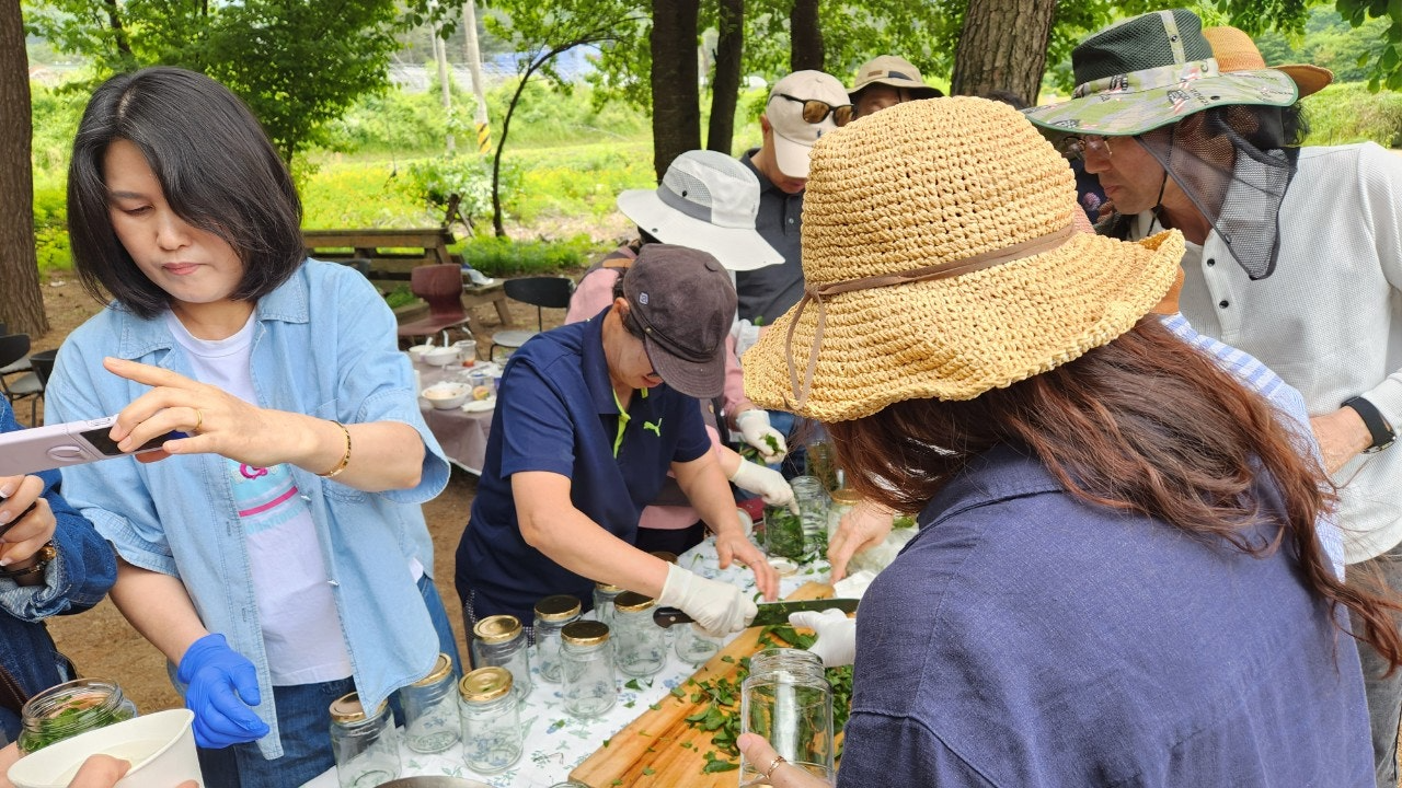 사용자가 올린 이미지