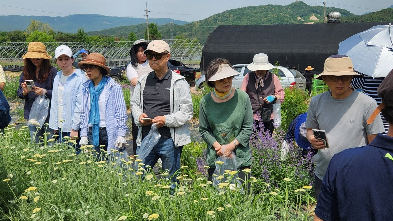 사용자가 올린 이미지