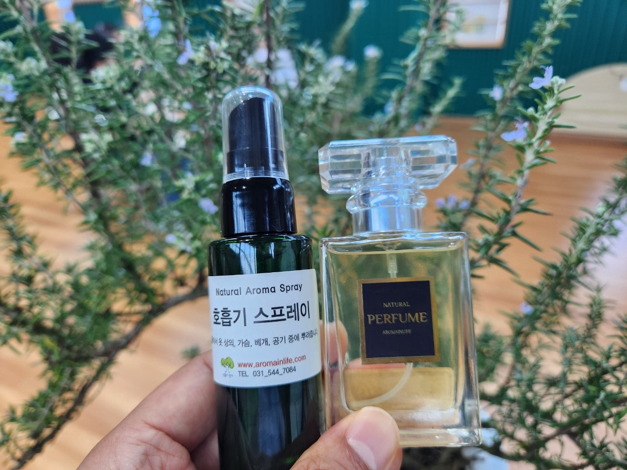 사용자가 올린 이미지