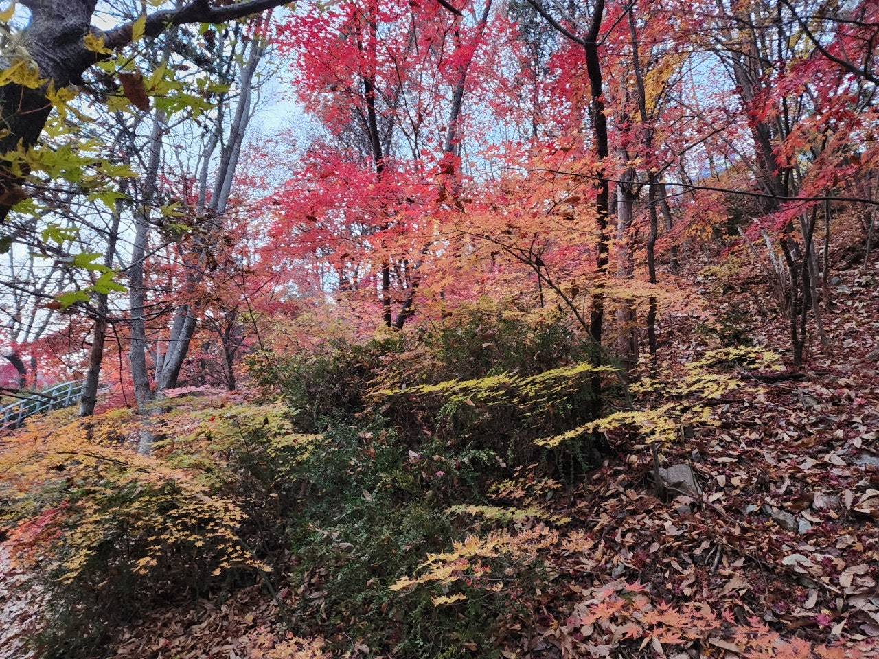 사용자가 올린 이미지