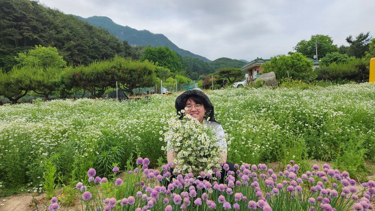 사용자가 올린 이미지
