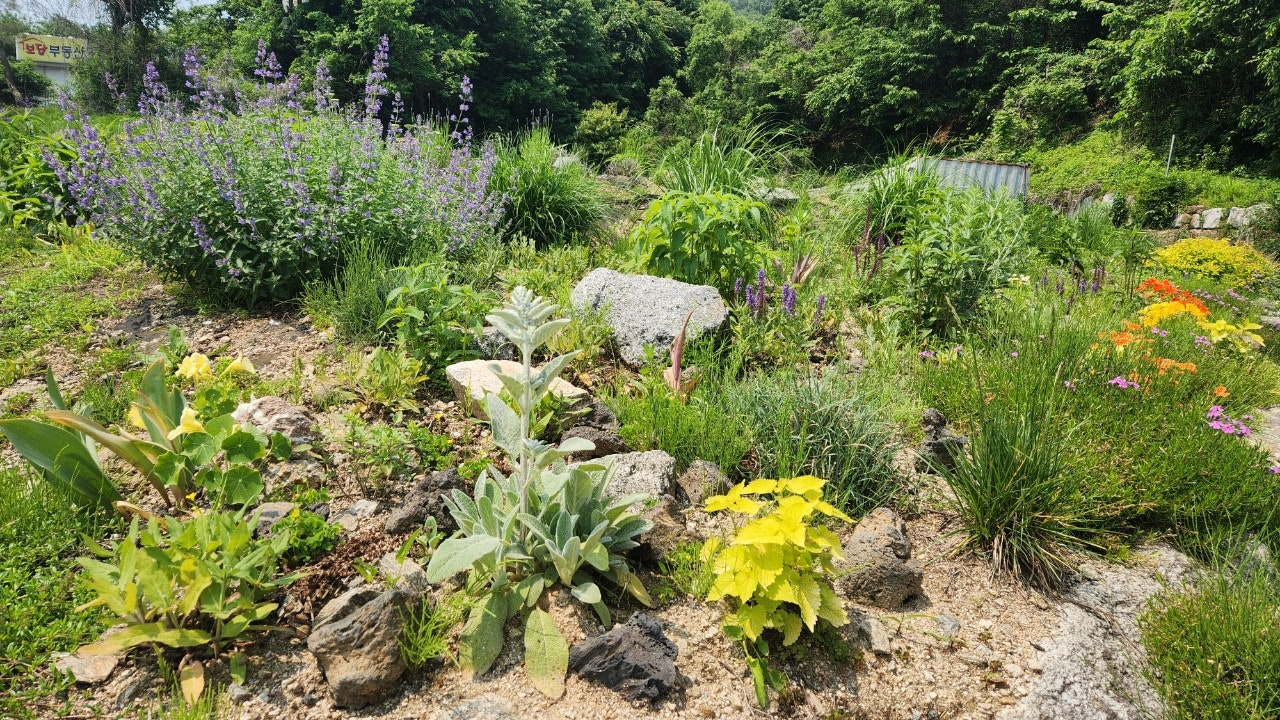 사용자가 올린 이미지