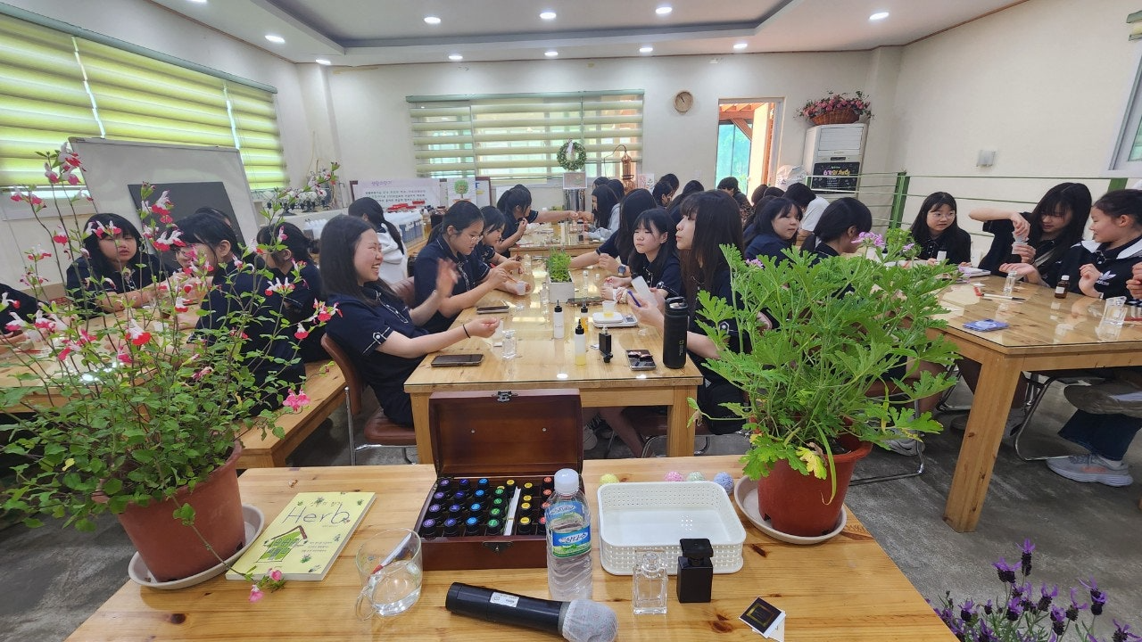 사용자가 올린 이미지