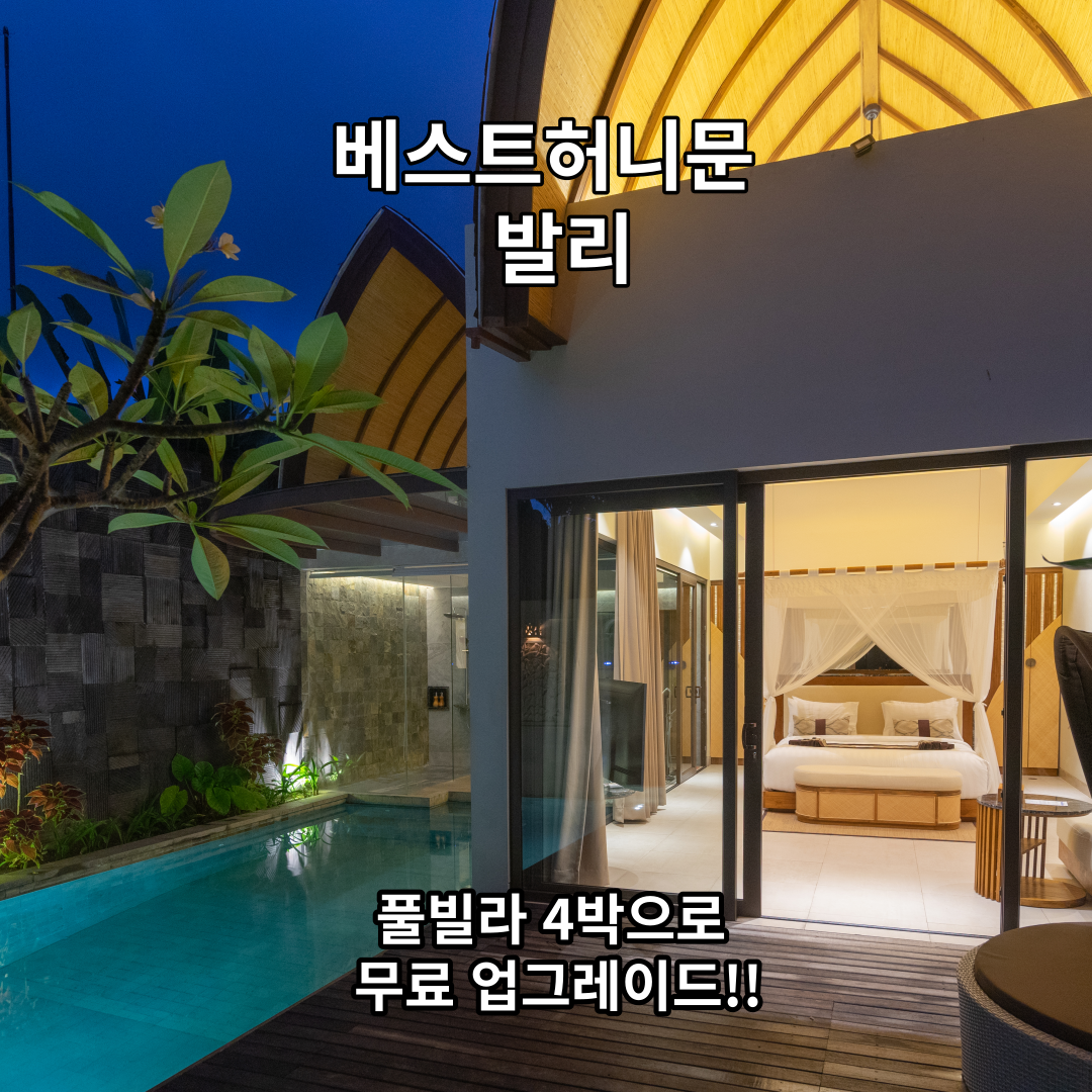 1ebaff1a14377.png