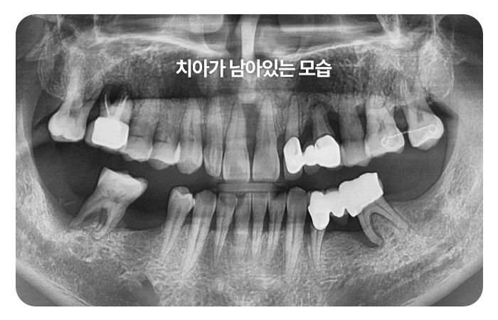 c4930346a5bd6.jpg