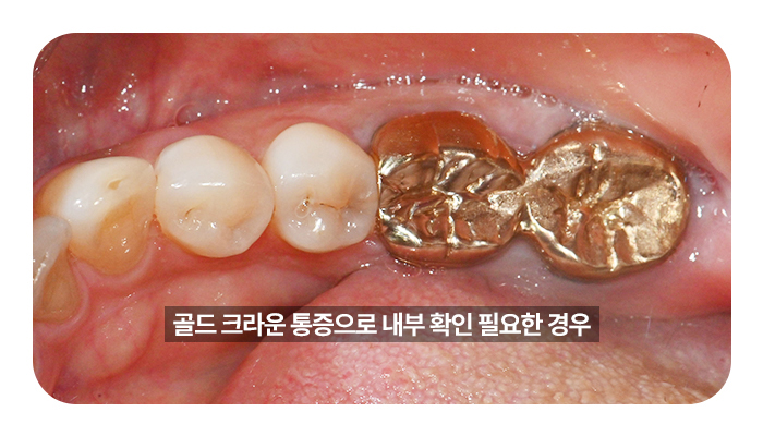ca73541e29db8.jpg