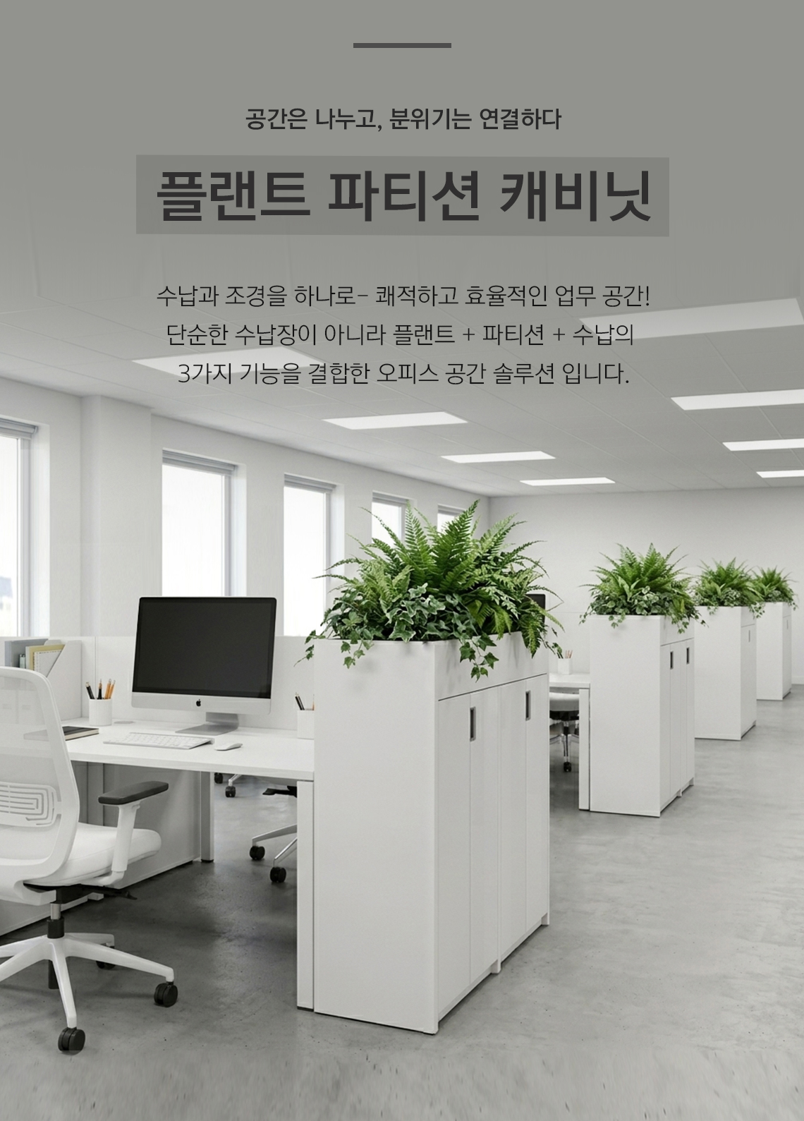 모벨러 플랜트 파티션 캐비닛 인조조경 책장 수납장 공간분리 사무실 회의실 플랜테리어 식물