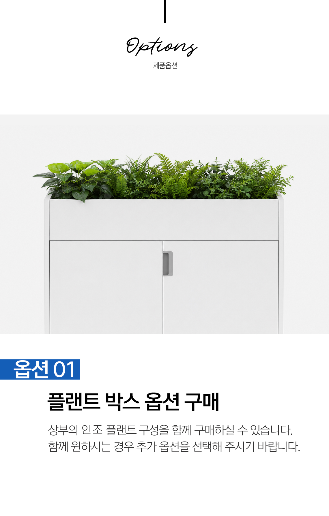 모벨러 플랜트 파티션 캐비닛 인조조경 책장 수납장 공간분리 사무실 회의실 플랜테리어 식물