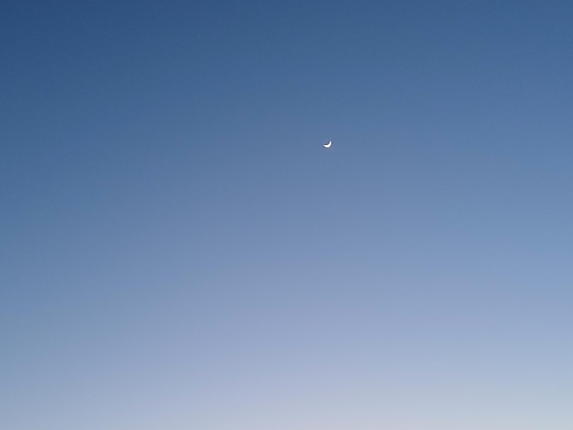16dcb45778885.jpg