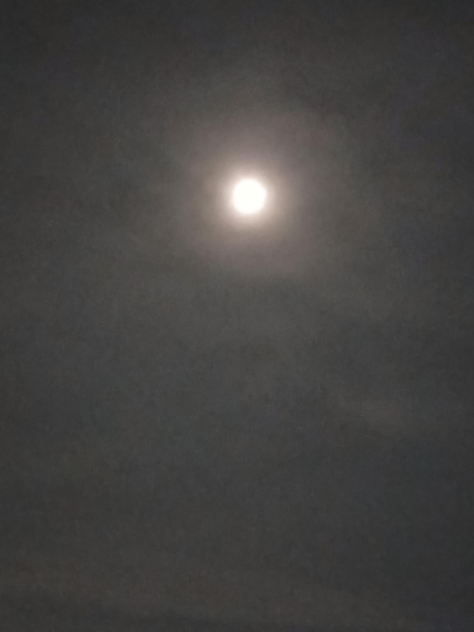 425eb6198828a.jpg