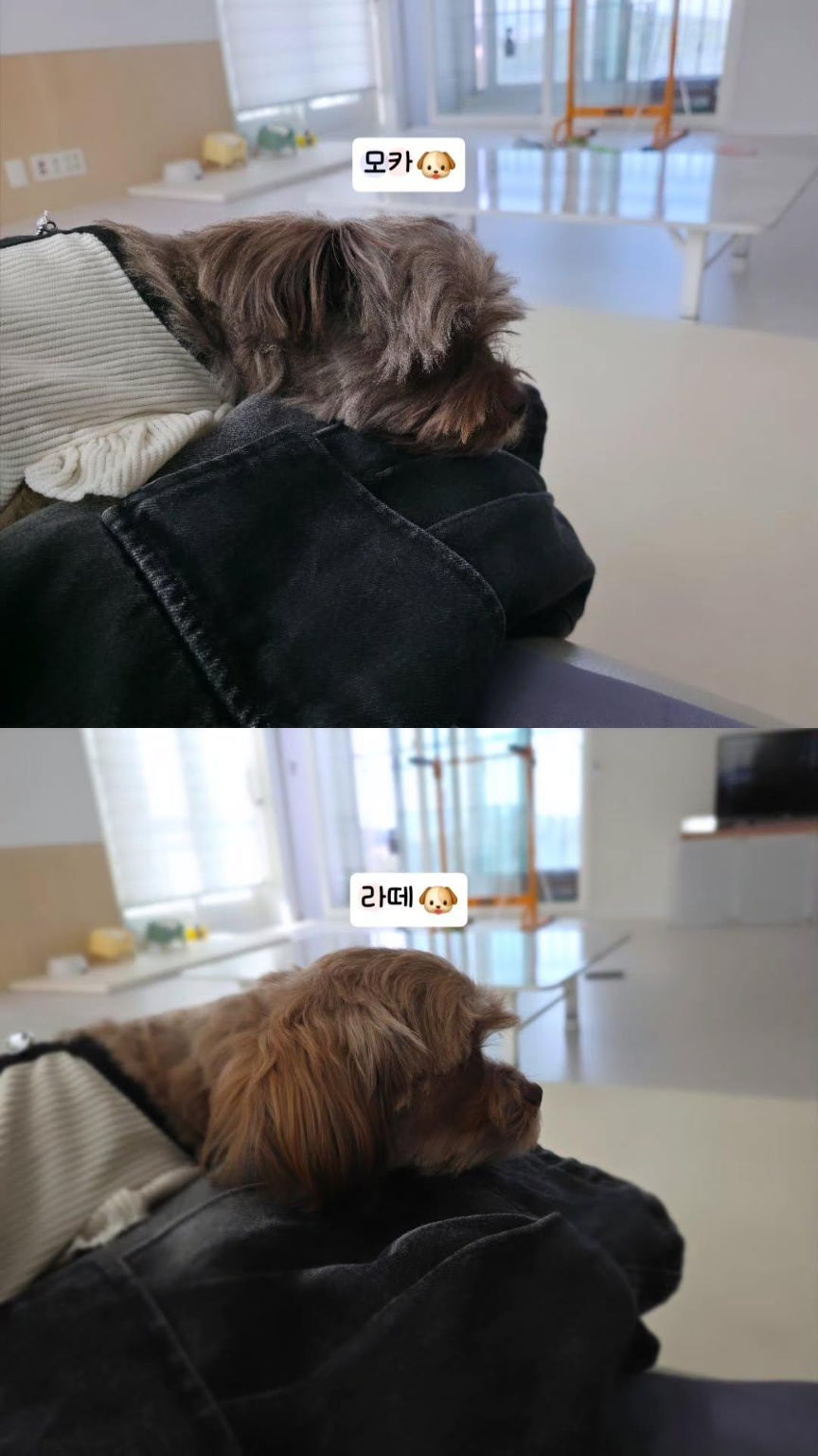 46d7c5b1c0a48.png