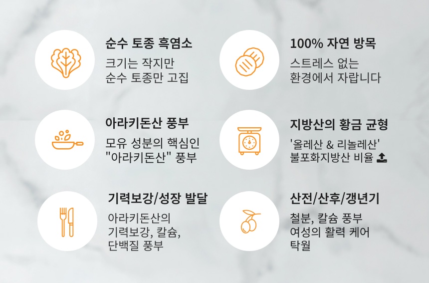 (급냉)토종 흑염소탕 550g