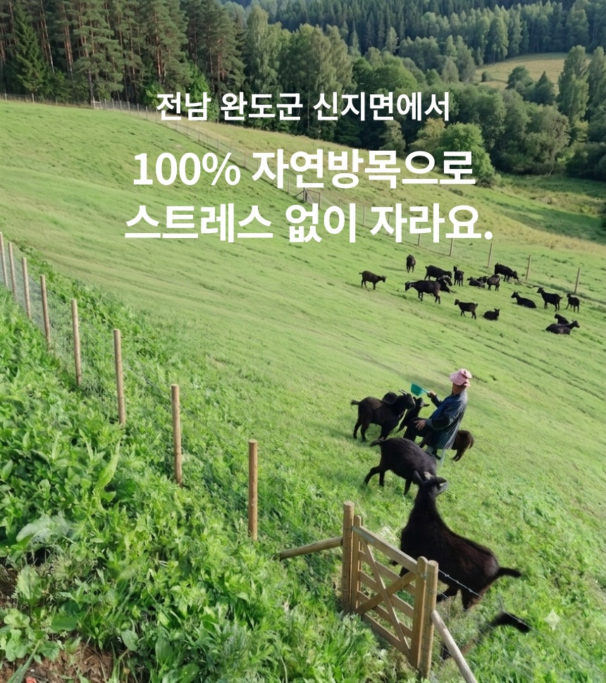 (급냉)토종 흑염소탕 550g