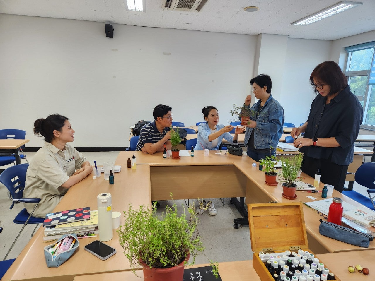 사용자가 올린 이미지