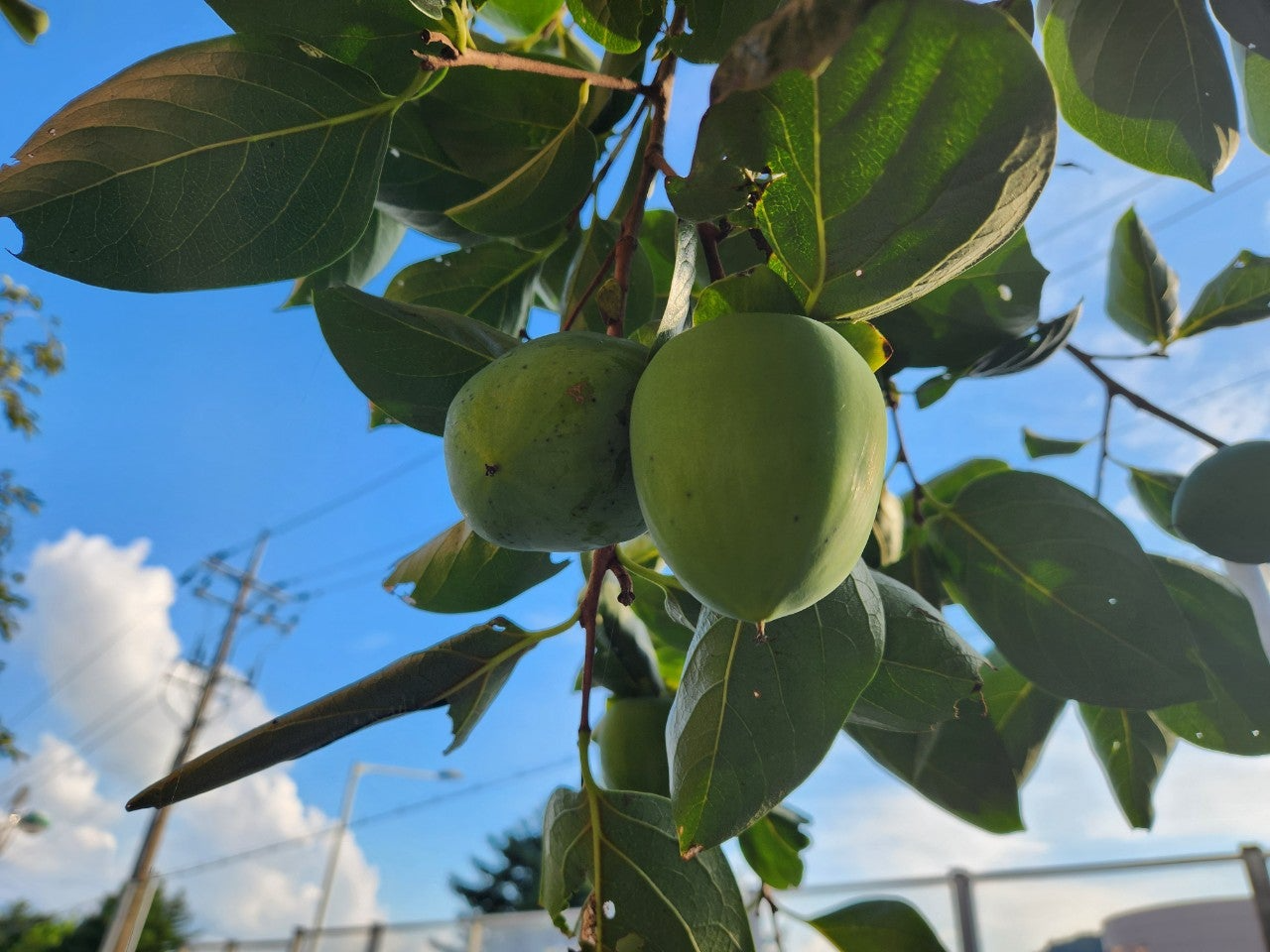 사용자가 올린 이미지