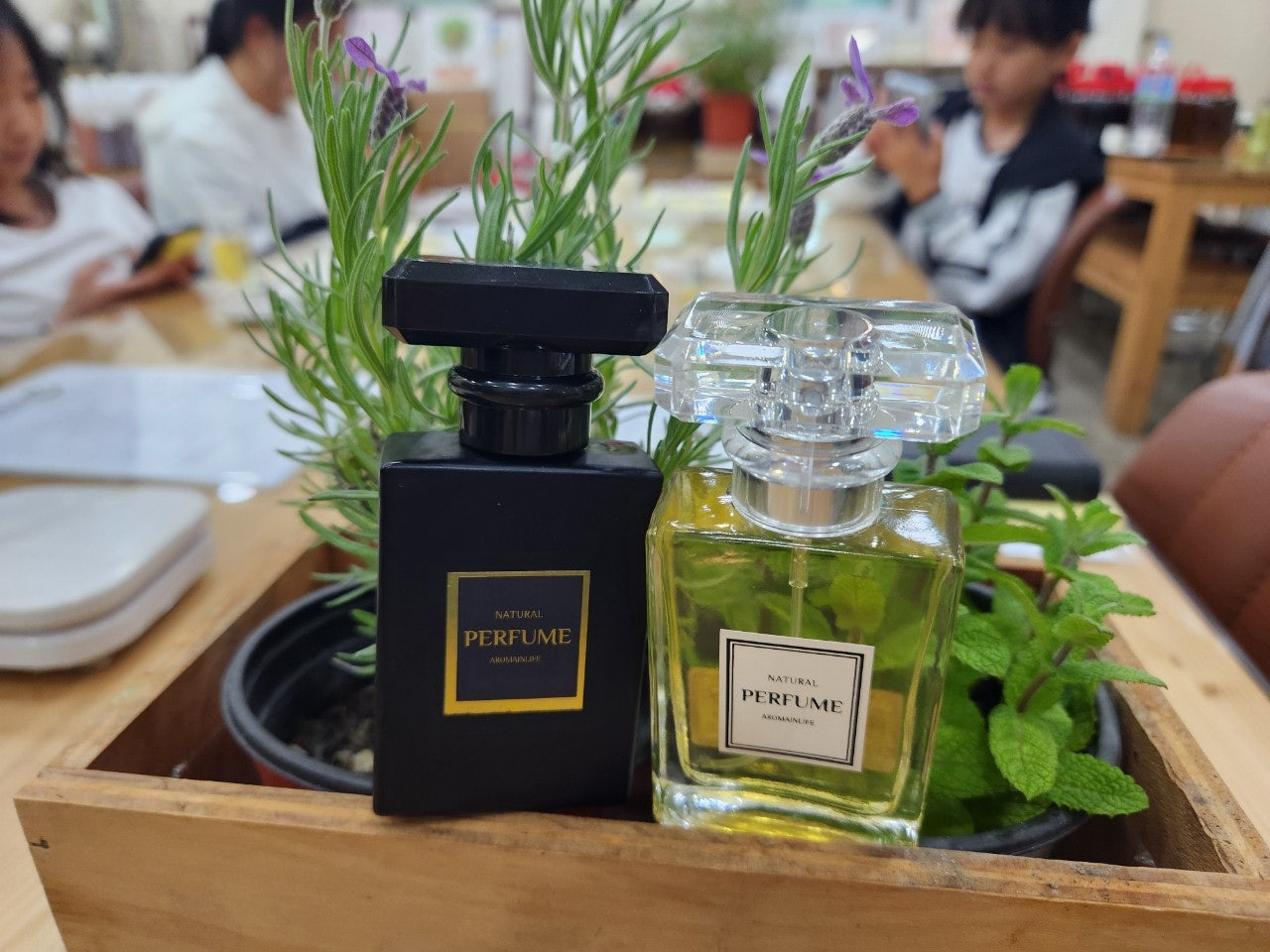 사용자가 올린 이미지