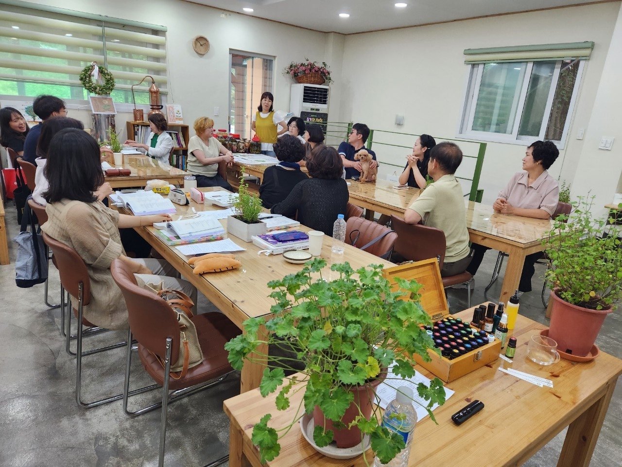 사용자가 올린 이미지