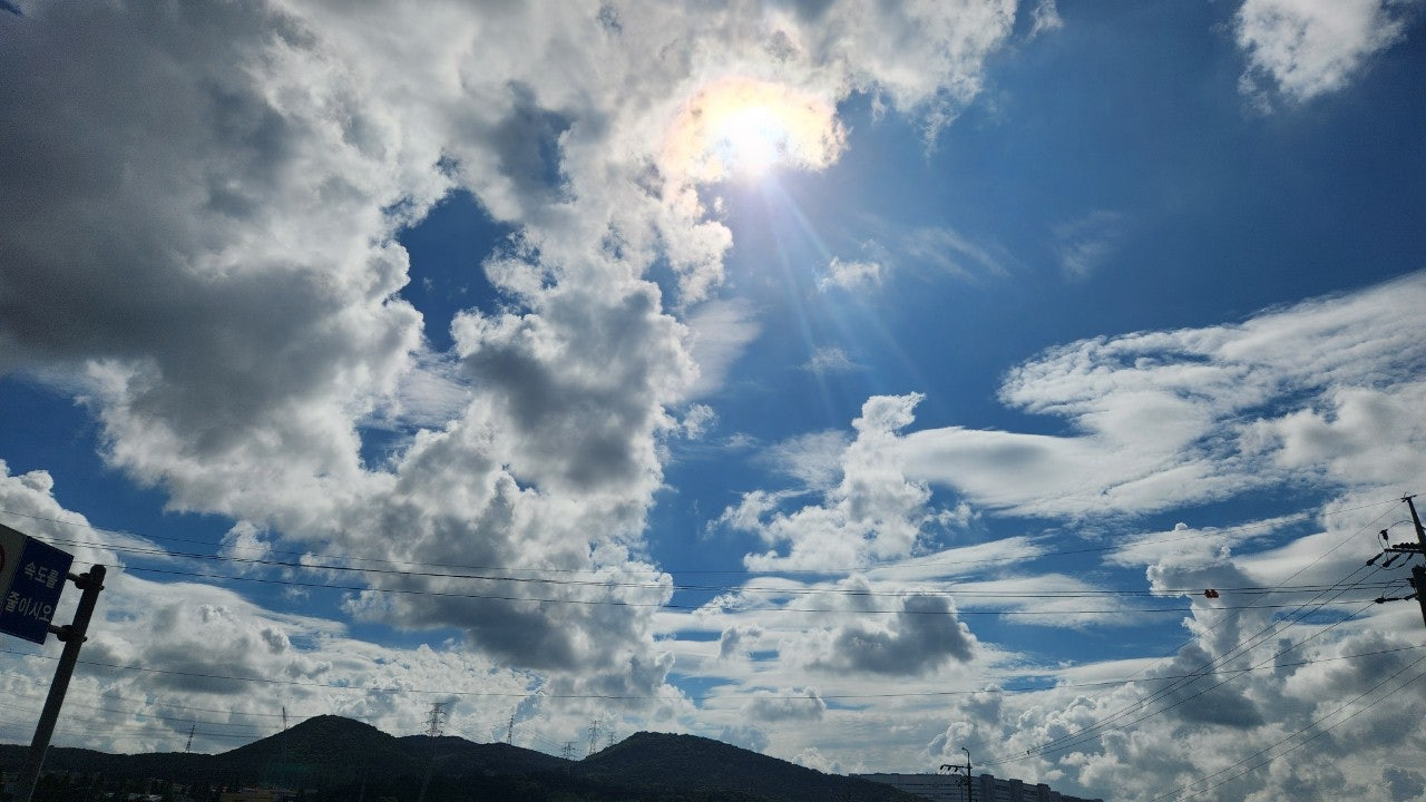 사용자가 올린 이미지