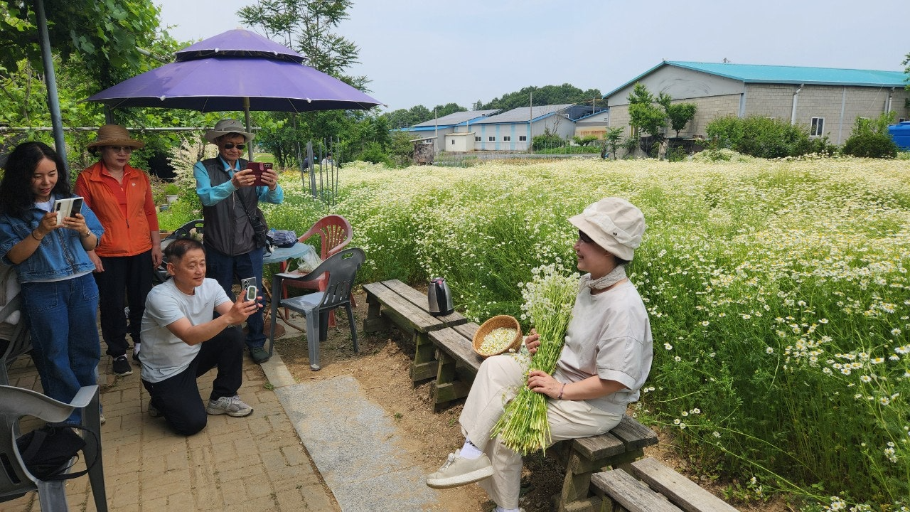 사용자가 올린 이미지