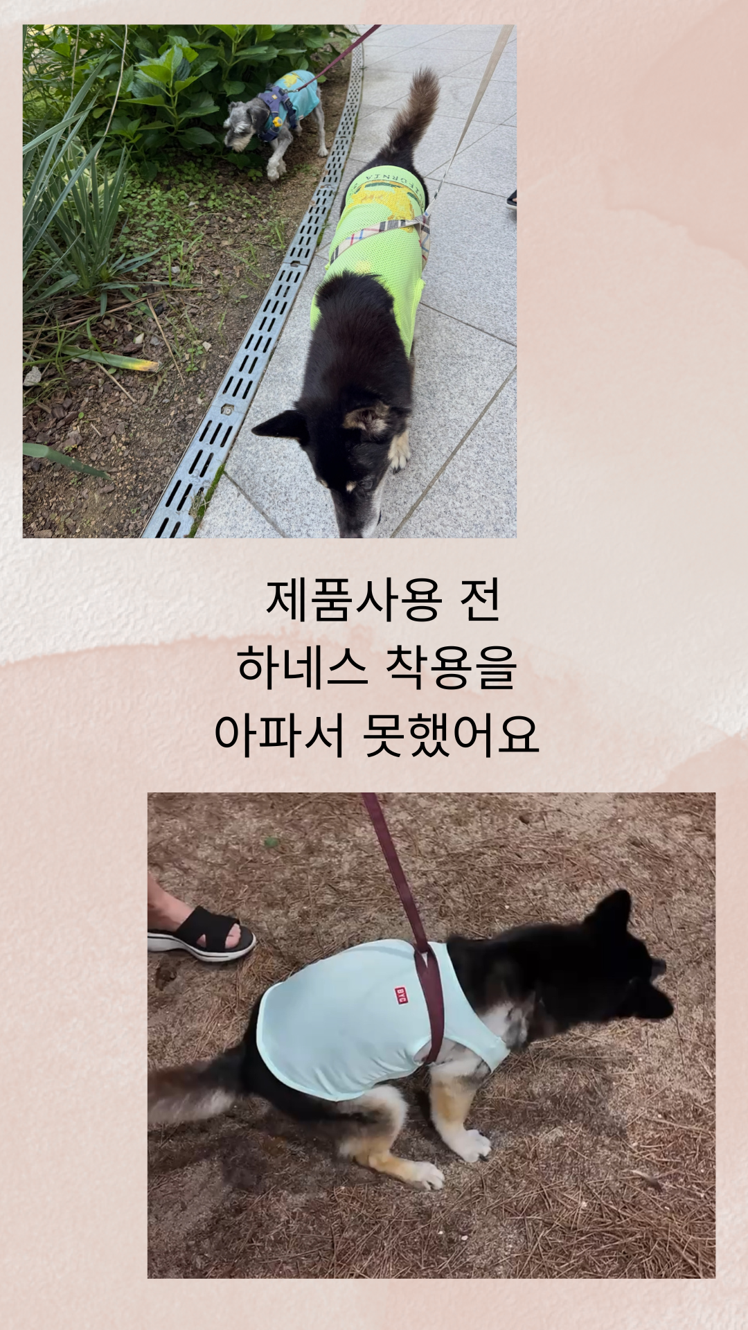 d0a4534943438.png