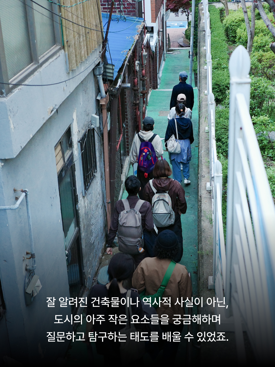 cd2d9db594a1a.jpg