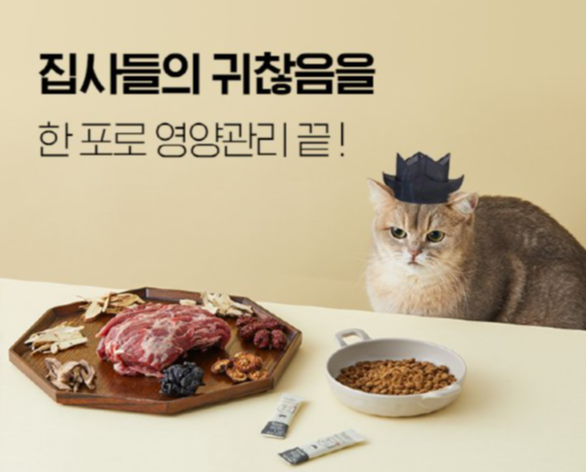 ad06e59368a70.png