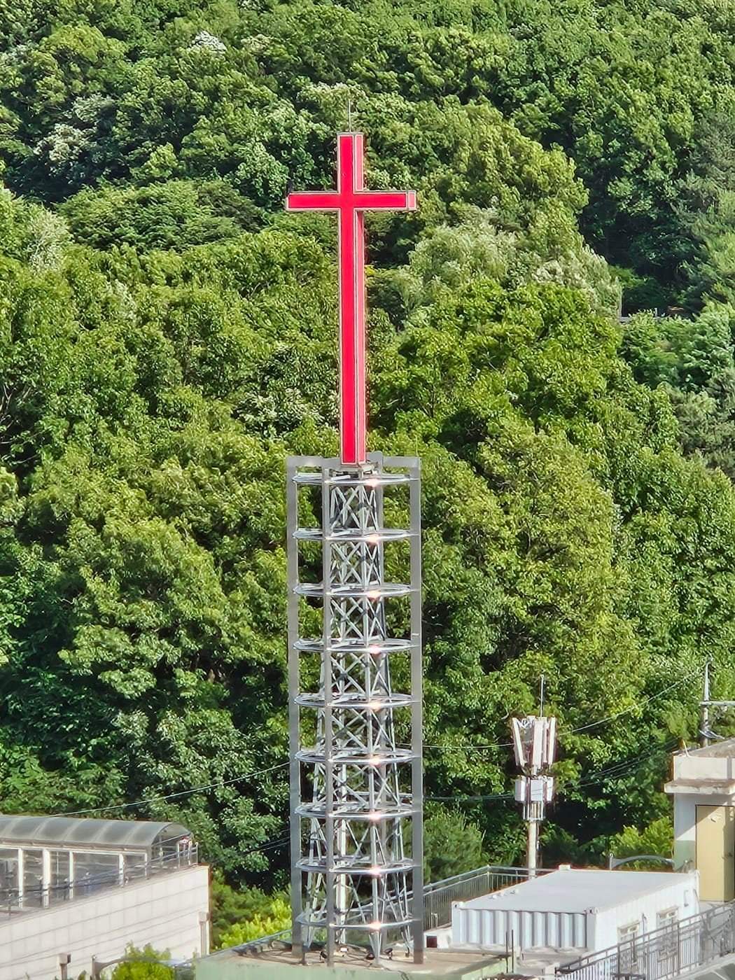 1399da8482518.jpg