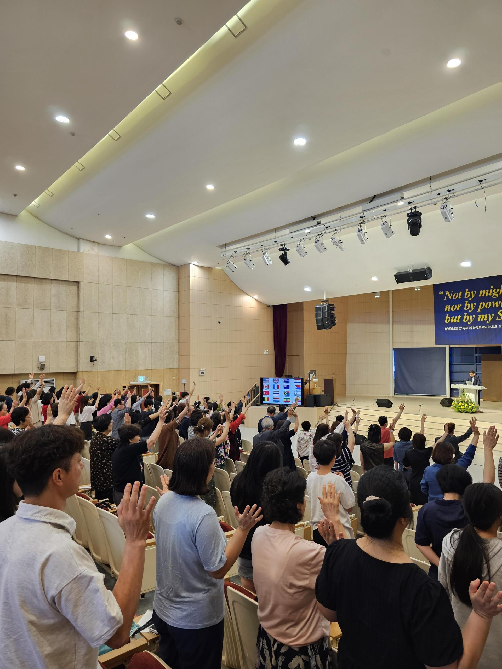 95ce991d4f177.jpg