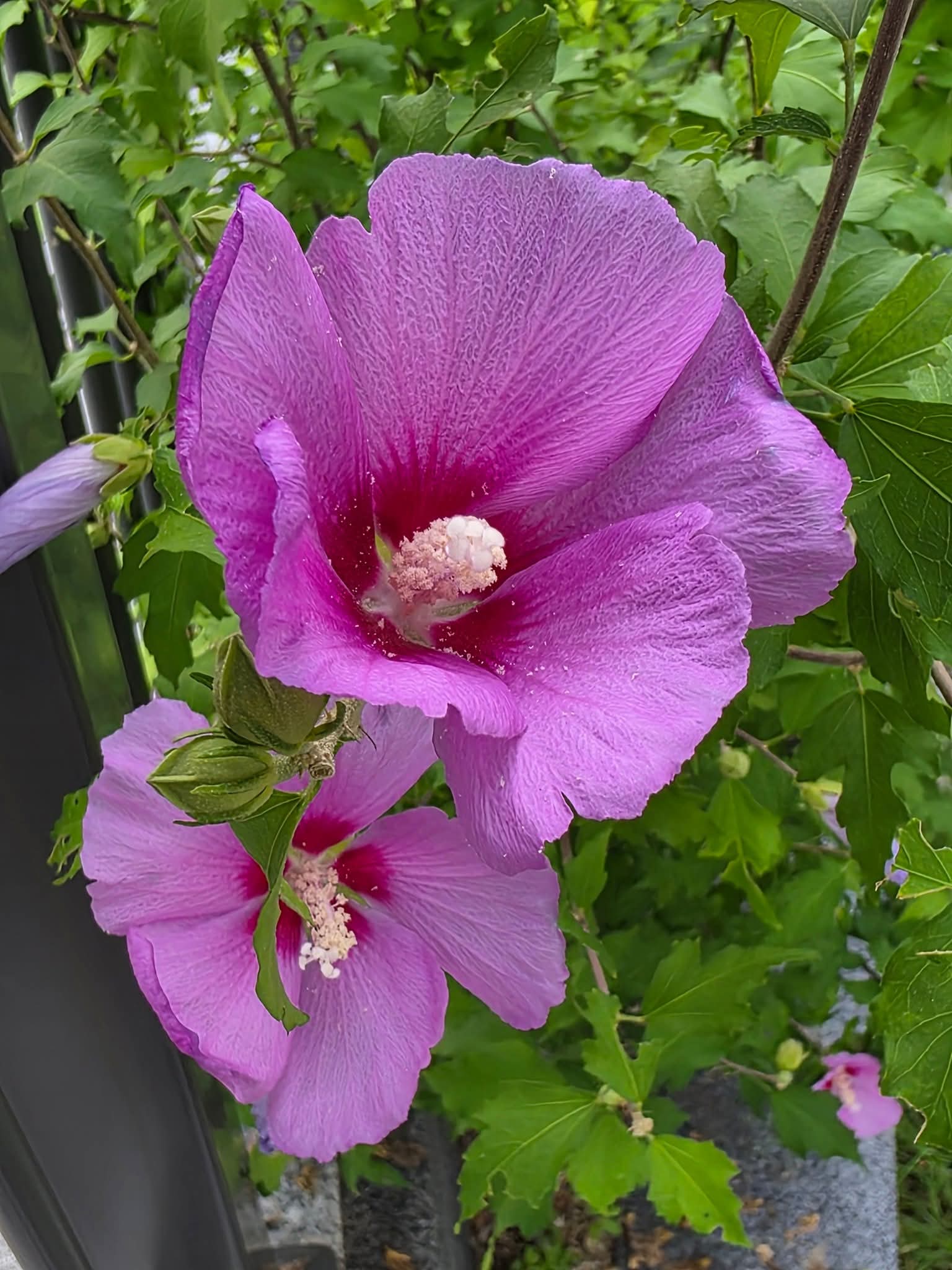 9c3ff5e20849c.jpg