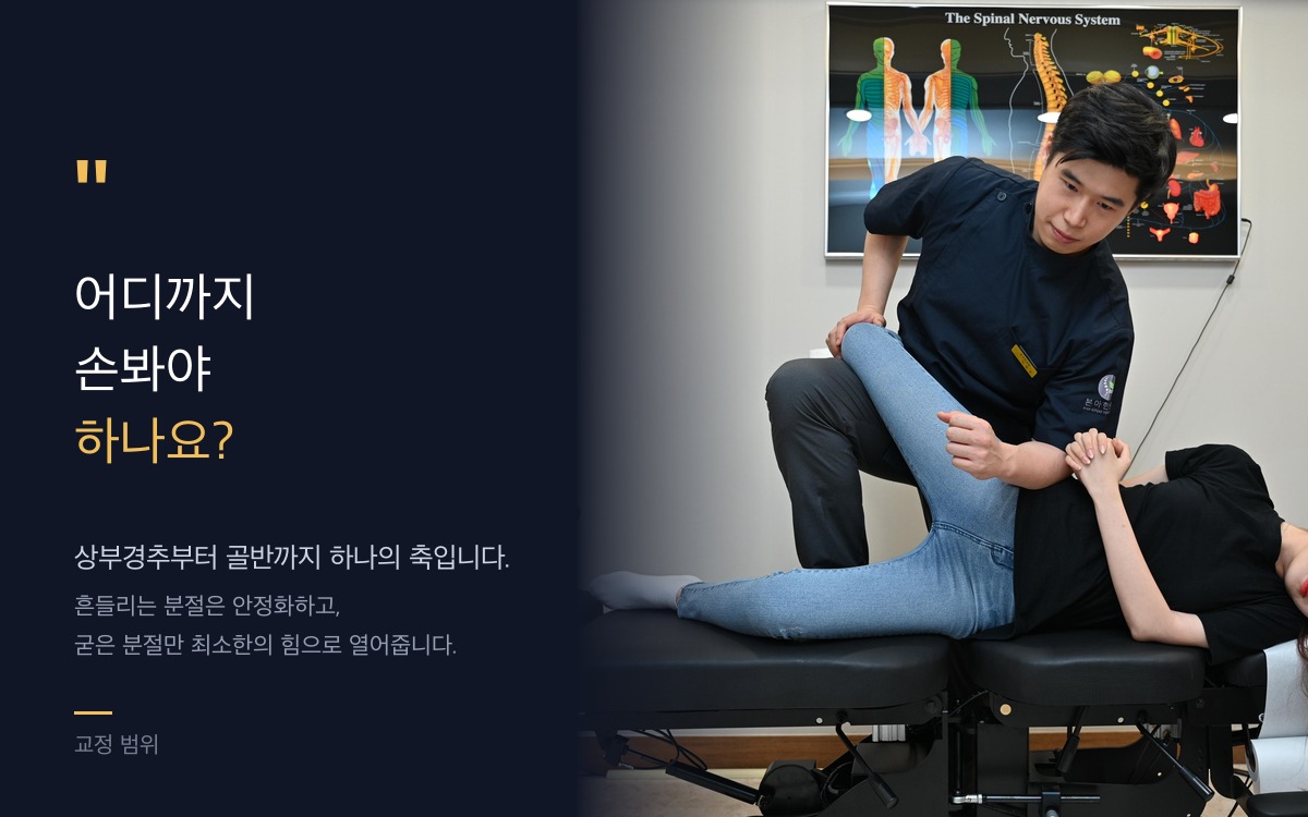 추나요법 교정 범위 - 상부경추부터 골반까지
