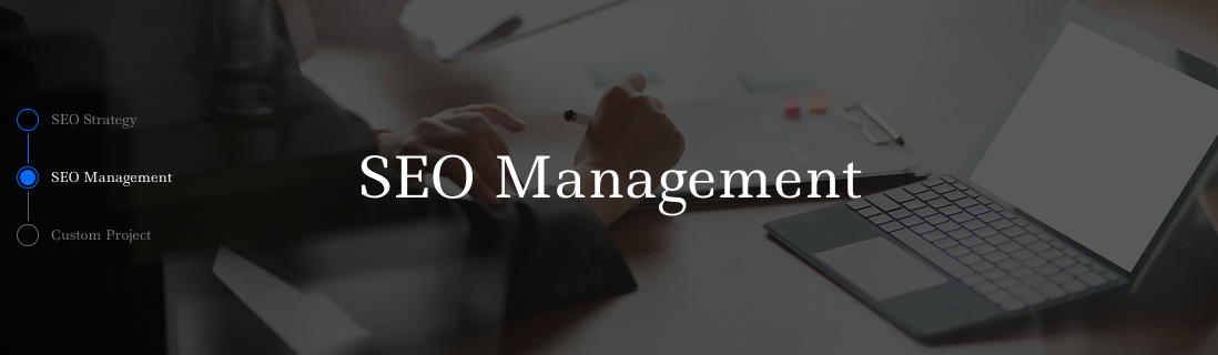 SEO 컨설팅 & 월 관리 운영