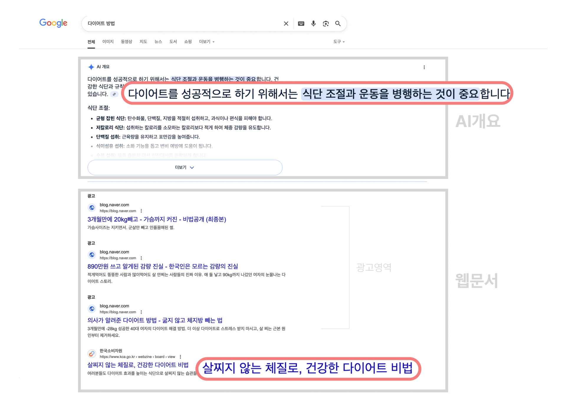 검색결과페이지지면분석예시-다이어트방법