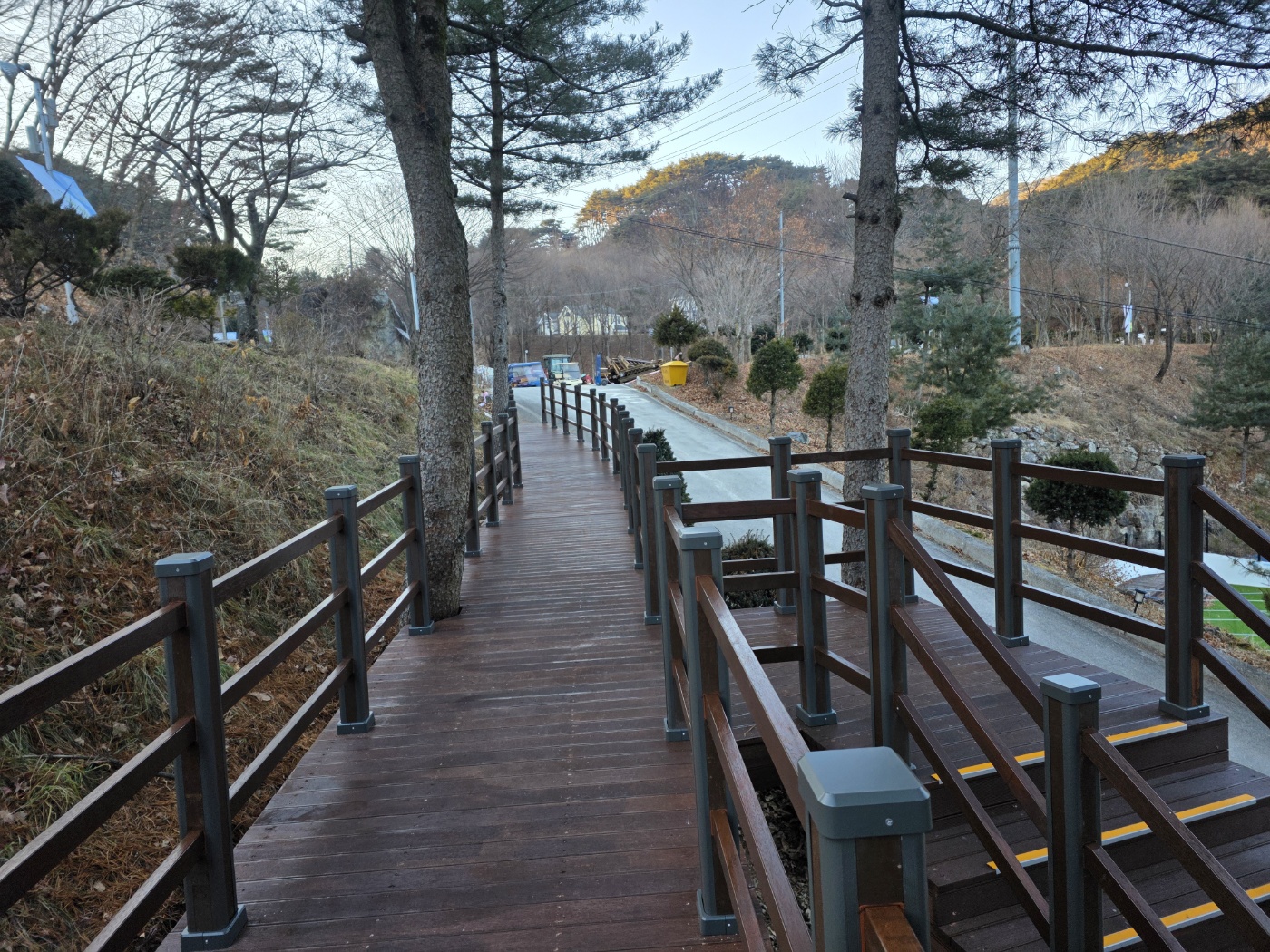 1ff42cc61515d.jpg